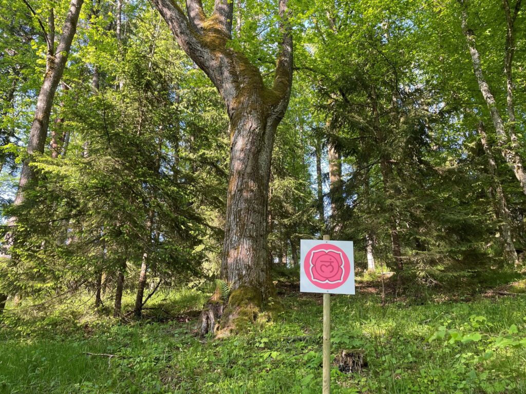 Baum im Wald mit Schild