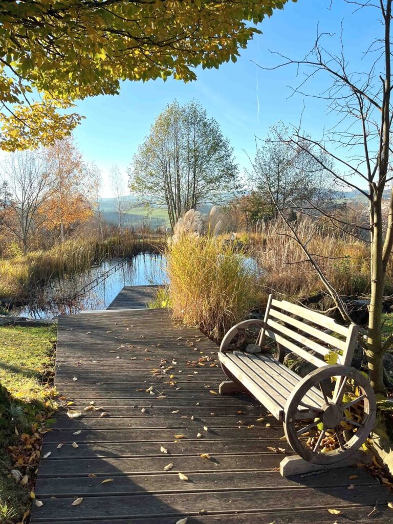 Bänke am Teich im Herbst