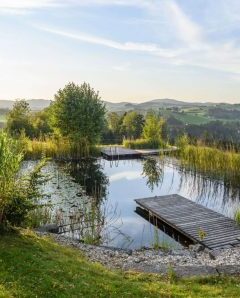 Frontansicht auf den Teich