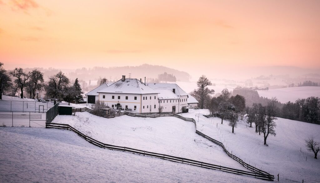 Schneeschuhe im Schnee, winterliche Landschaft.