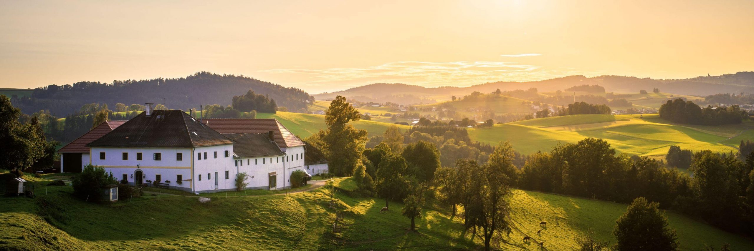 Yoga Retreat Österreich