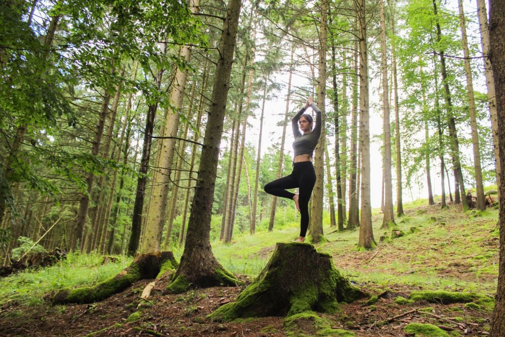 Waldyoga im Österreichischen Mühlviertel