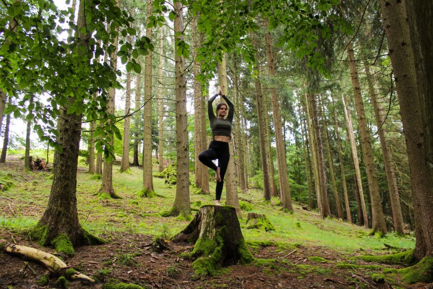 Waldyoga in Österreich