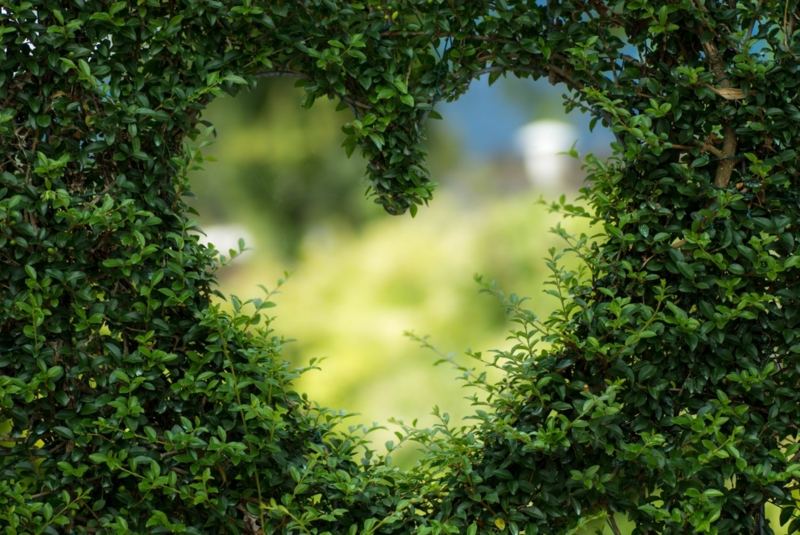 experience your heart