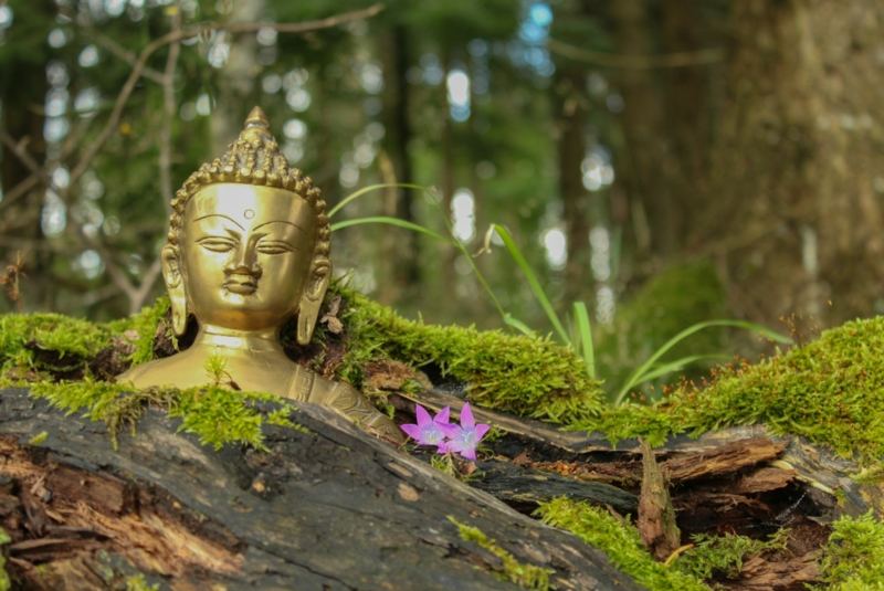 Stabilität und Leichtigkeit mit Yoga