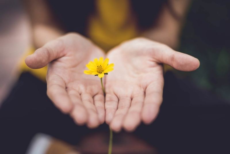Meditation-Gehen-Liebe
