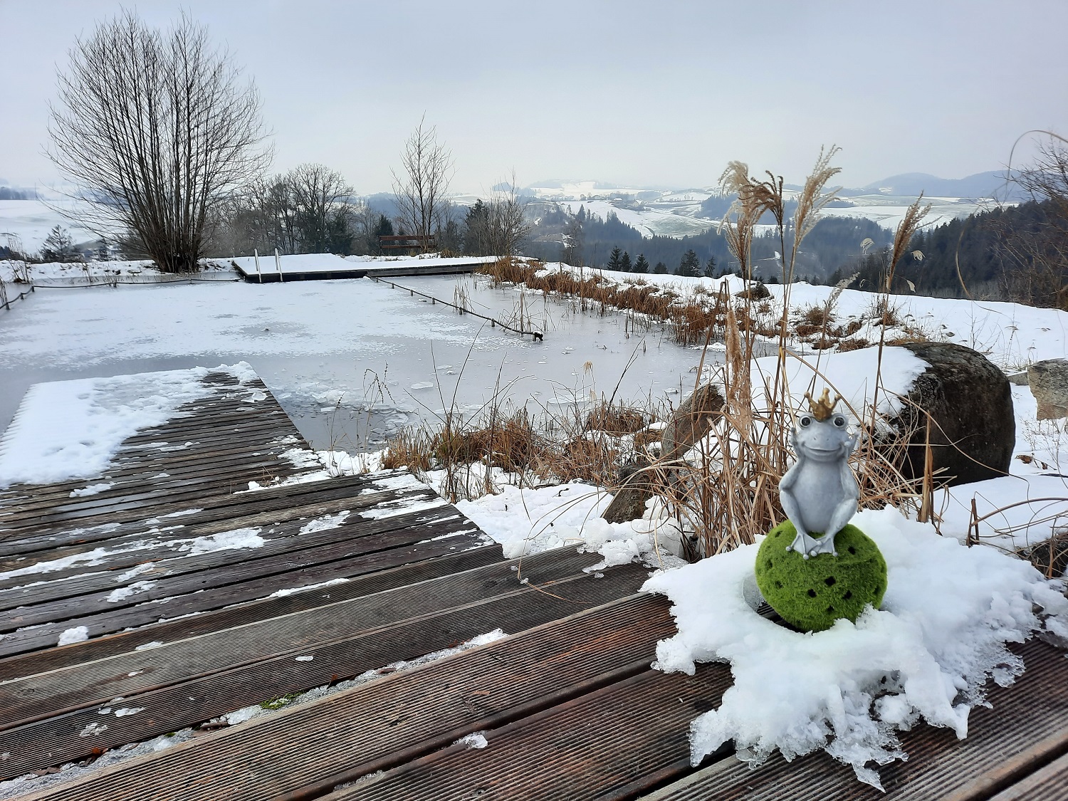 Eisbaden im Mühlviertel