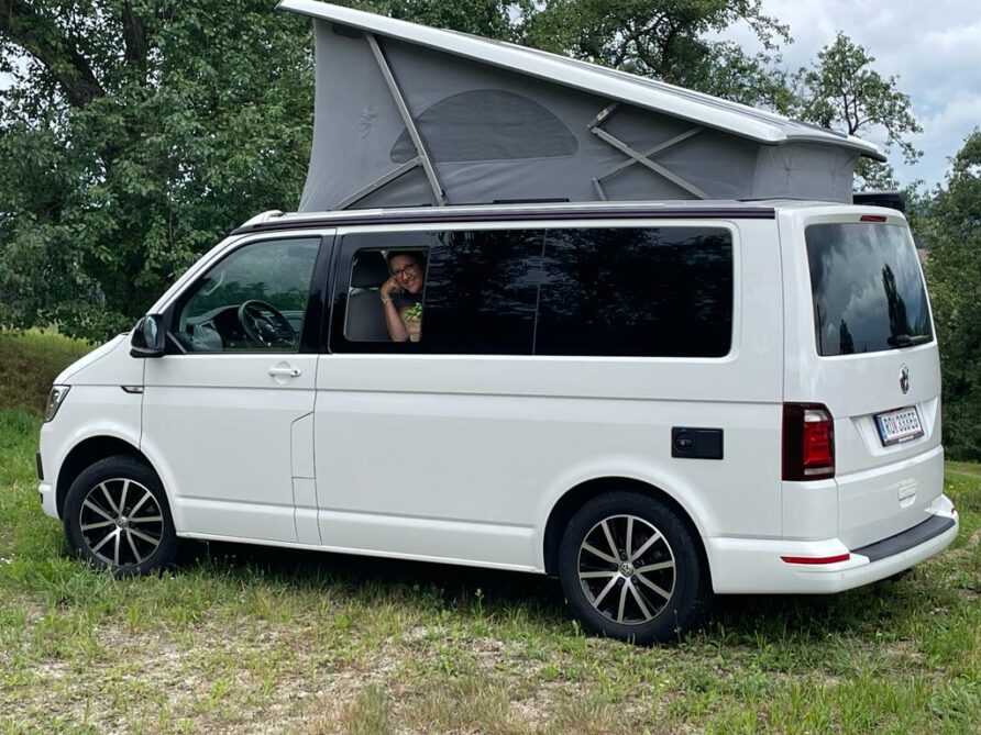 VW California in Altenfelden