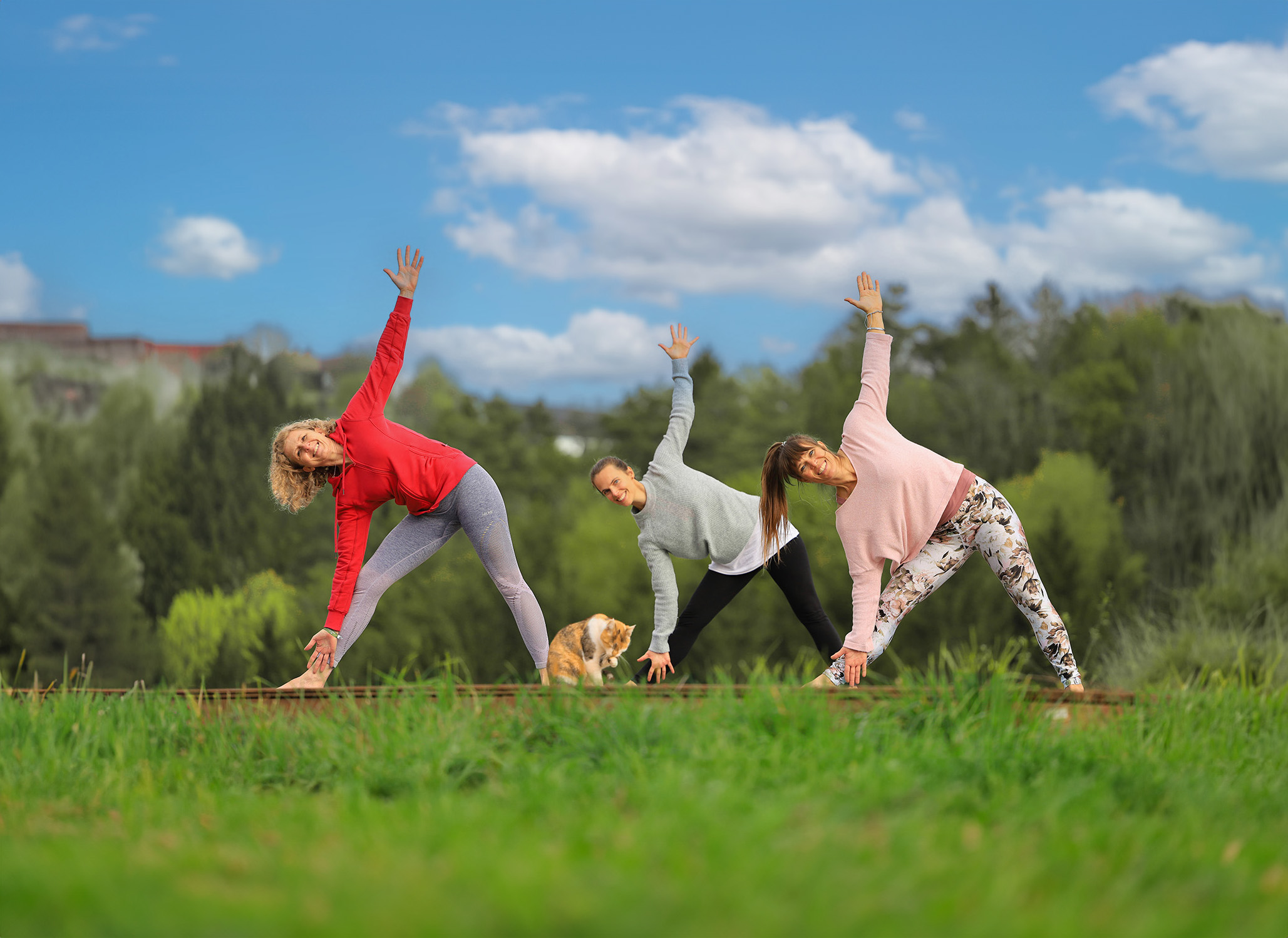 Yoga Festival